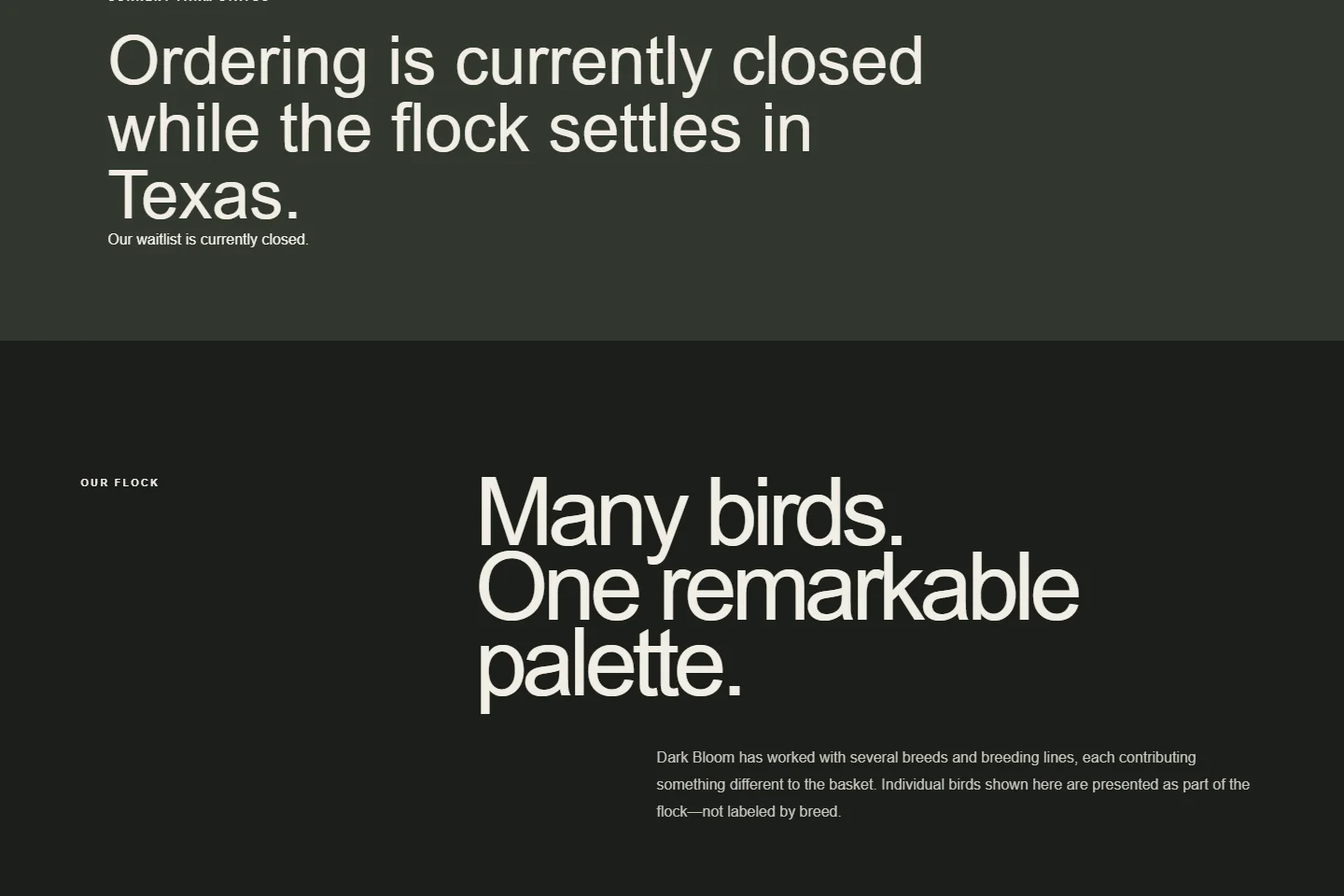 Current Dark Bloom public breeds section organizing flock information and breed photography